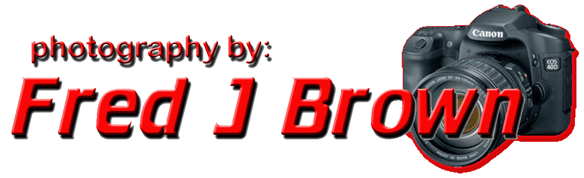 FRED J BROWN STUDIOS
              - APALACHIN,NEW YORK